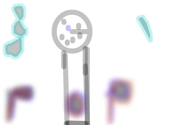 POP