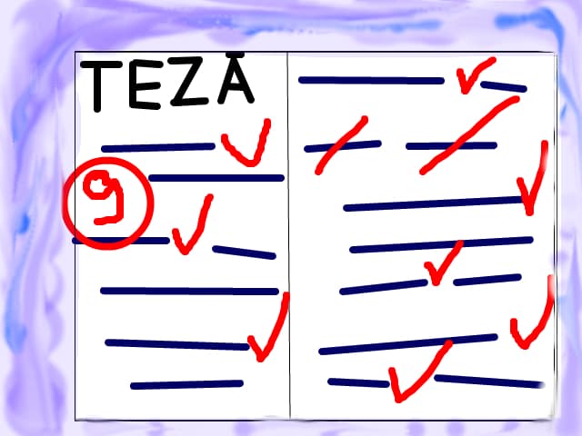 teza,lucrare