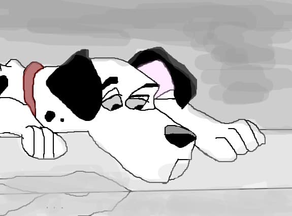 Pongo