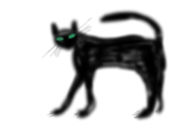 pisica neagra