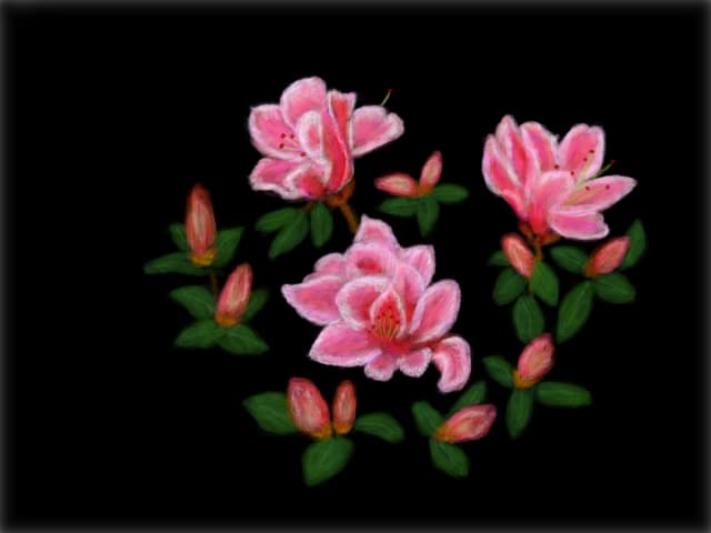 Flori