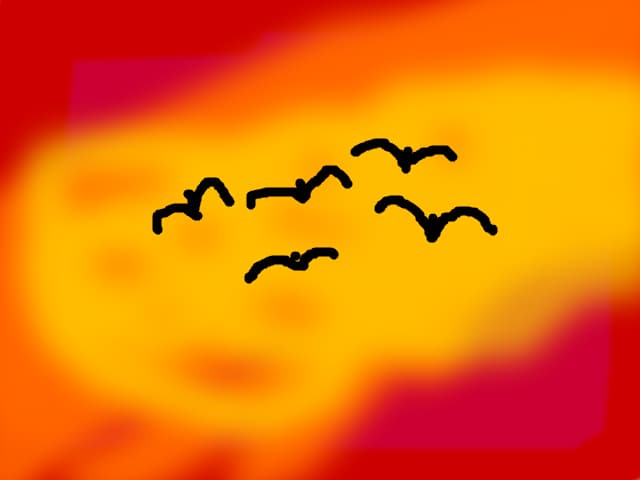 Fire parrwow