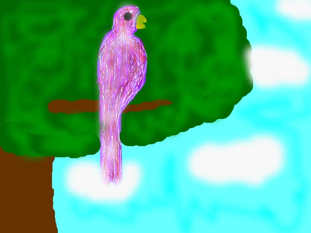 Parrot