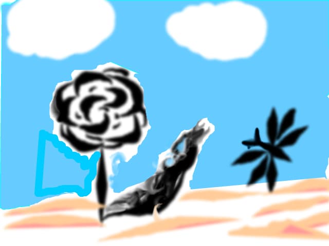 o floare