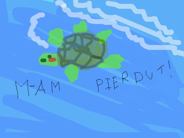 M-AM PIERDUT