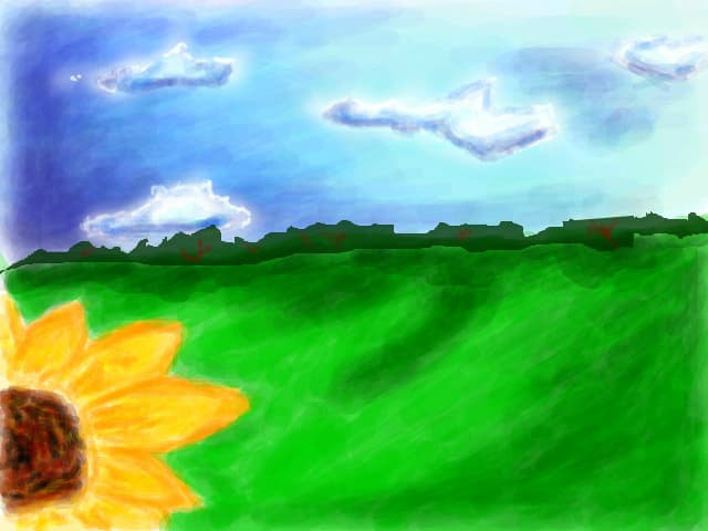 Floarea-soarelui.