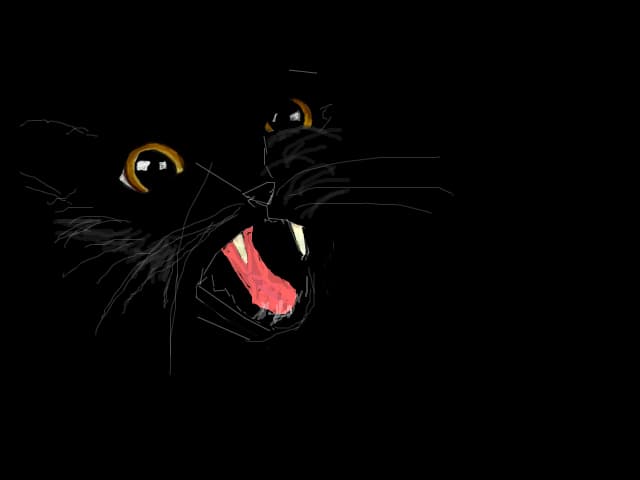 cat