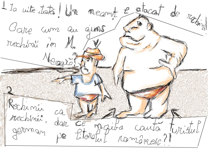 pe litoral- ce cauta asta aici?!