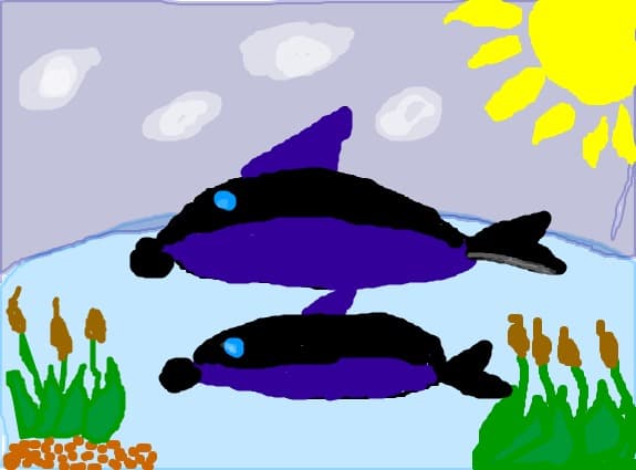 delfini