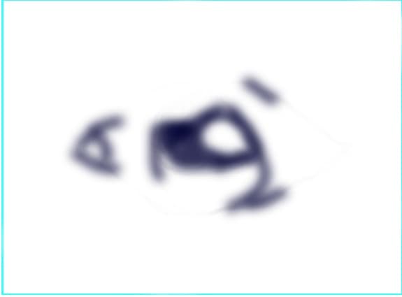 cer