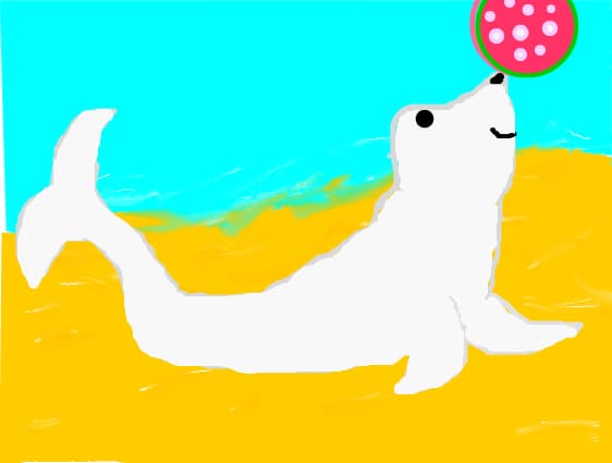 Foca de la circ