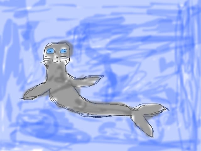 foca