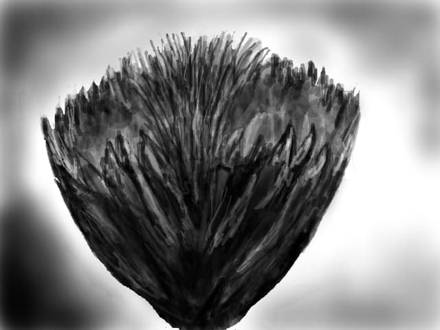 floare