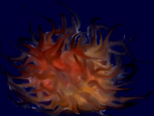 creationn