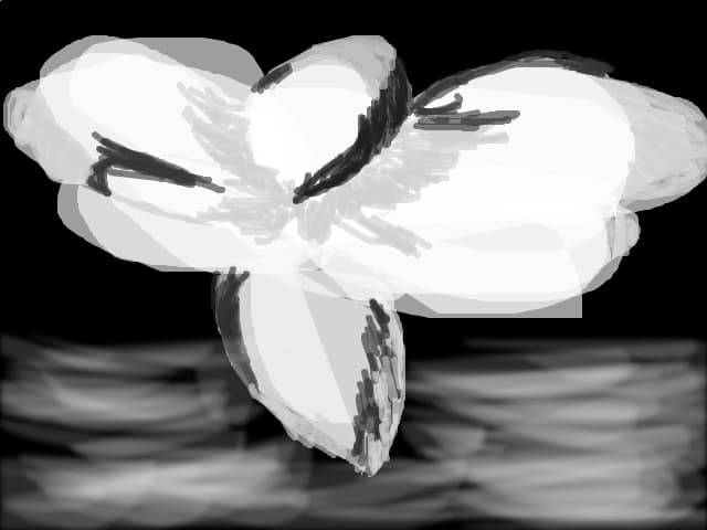 floarea alba