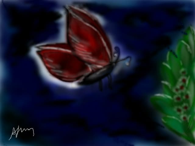 butterfly