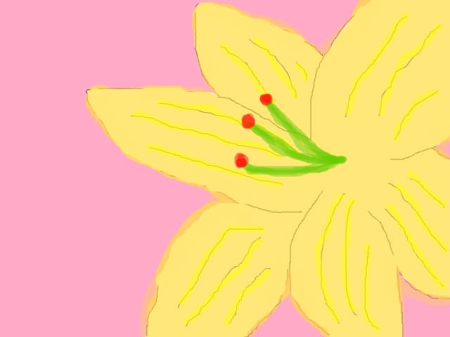 o floricica de colt!!!;)