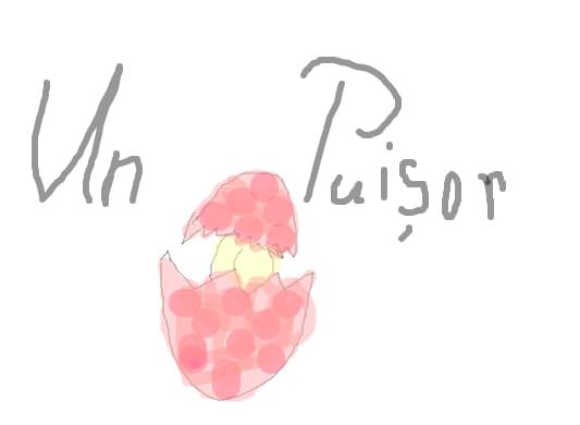 un puisor