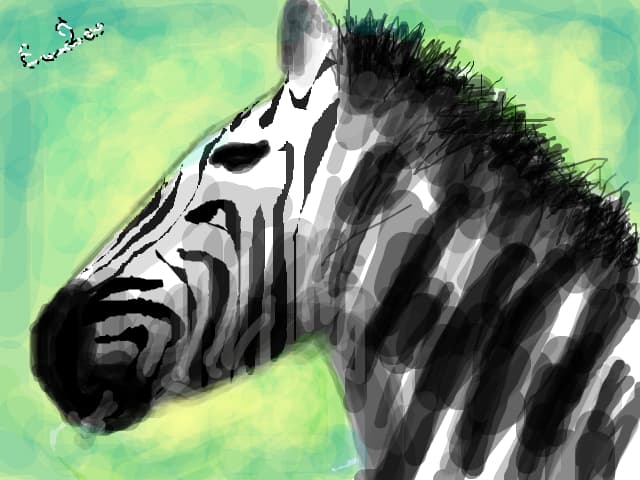 Zebra