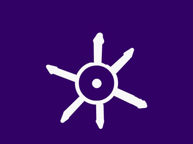 Tokyo flag