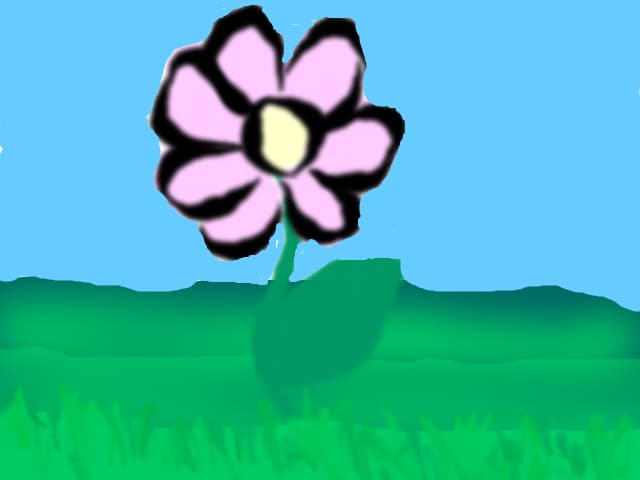 floricele pe campii....