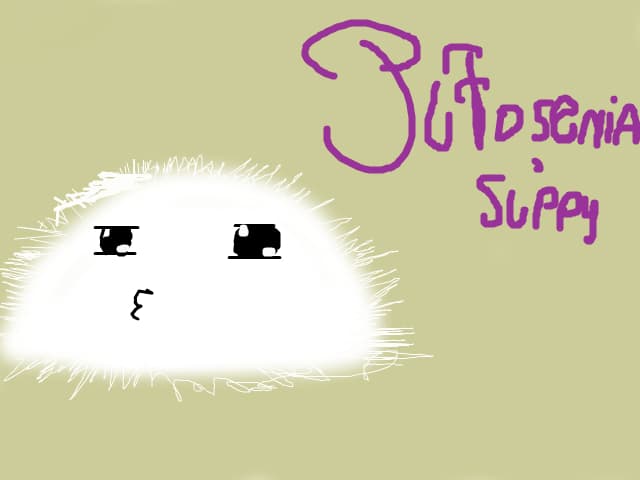 pufoshenia suppy