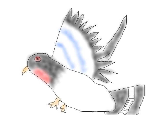 Un porumbel