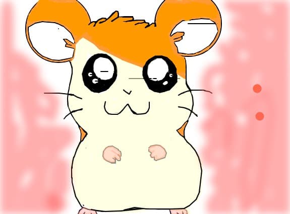 Hamtaro -hamster(anime)