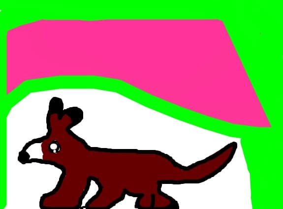 dog