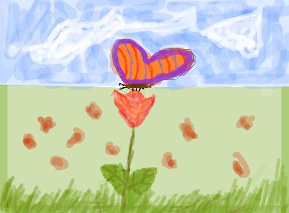 o floare