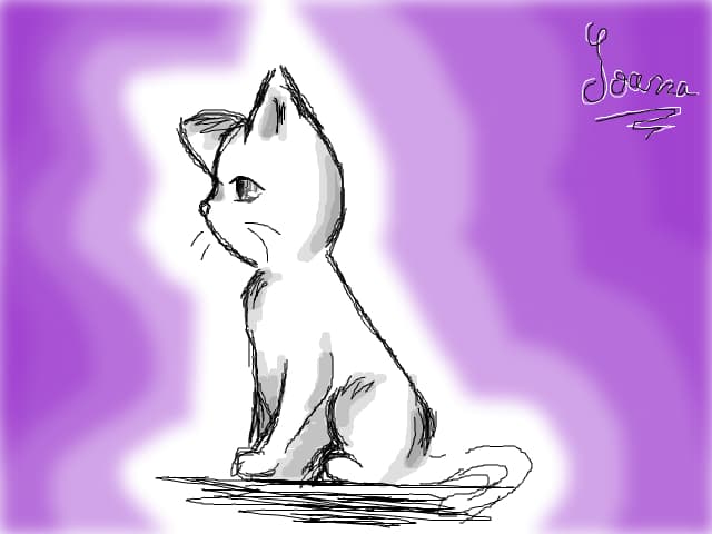 anime cat