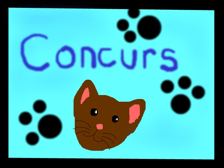 Concurs