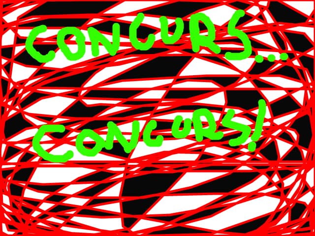 Concurs2