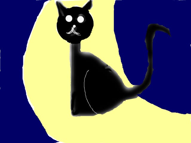 a black cat