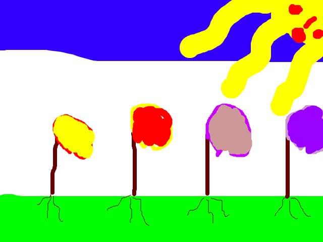 flori
