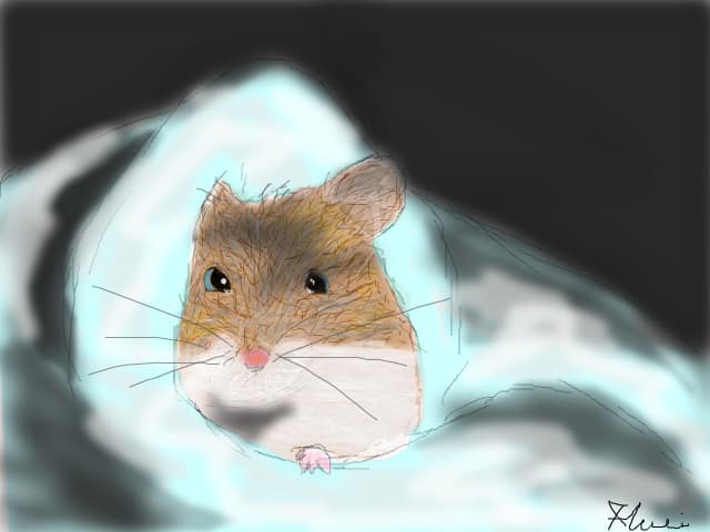 Hamster