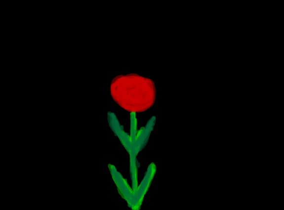 o floare