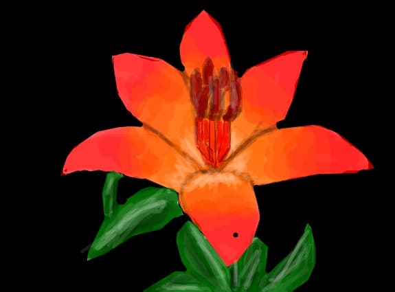 floare :3