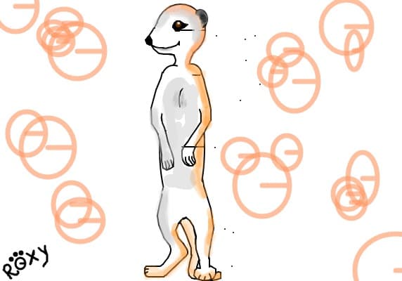 Suricata