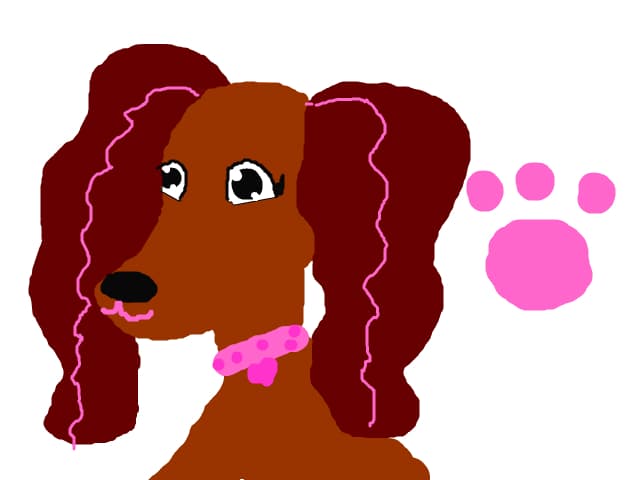 Lori