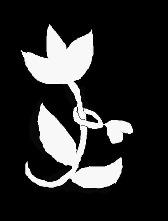 Floare