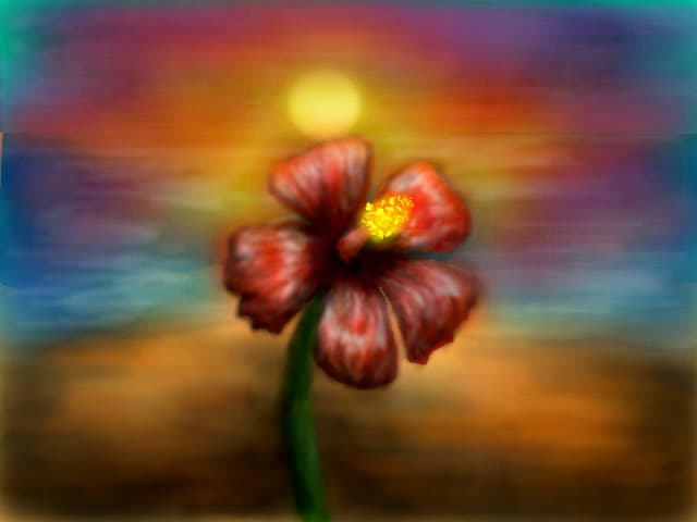 floare rosie