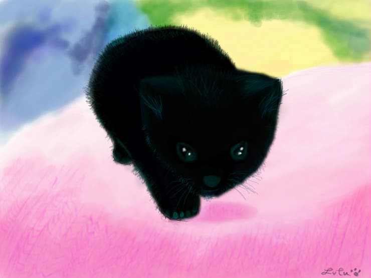 Cat...