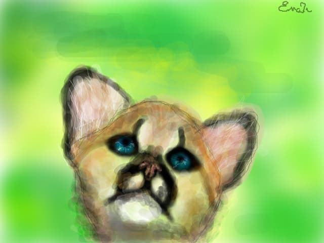 Baby animal