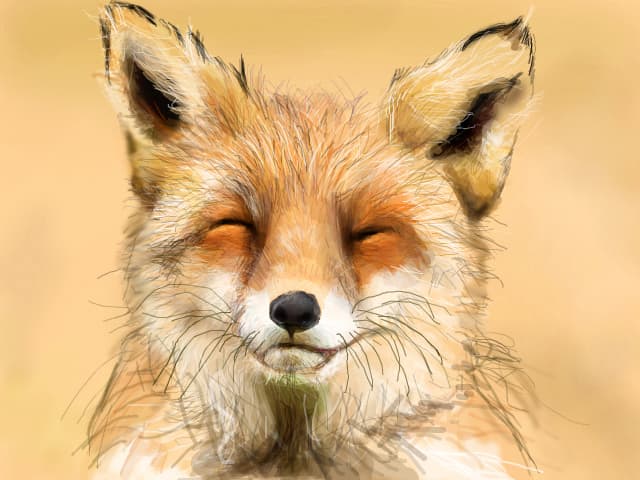 Foxy by azu
