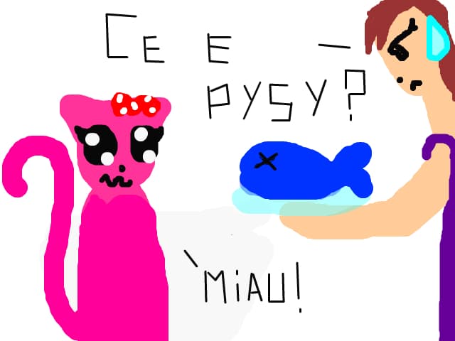 Ce e pysy ?