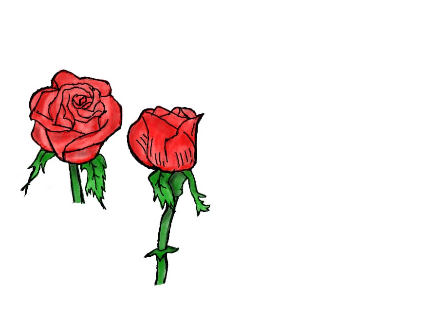 rose