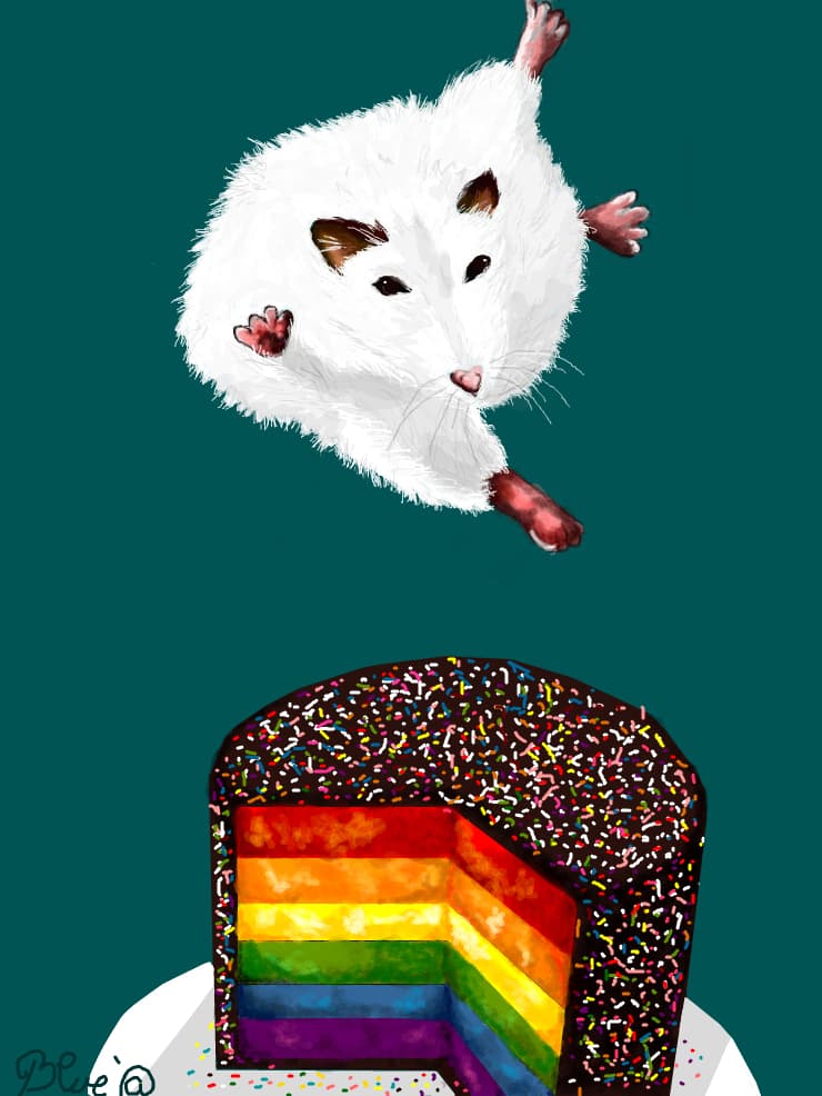 Taste The Rainbow