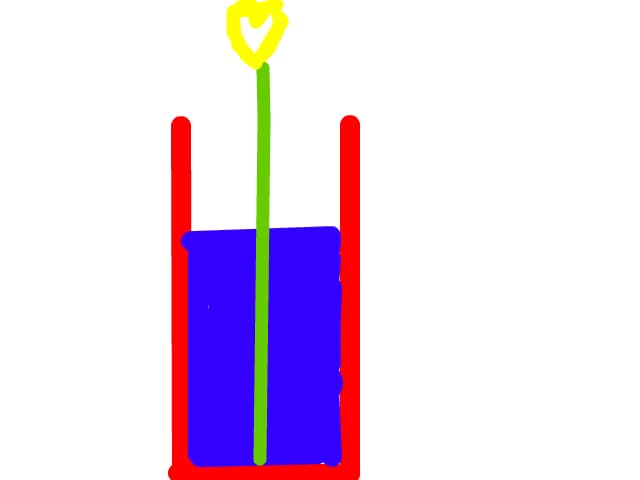 floarea inima