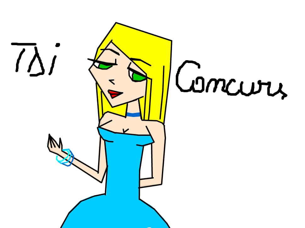 Concurs TDI .